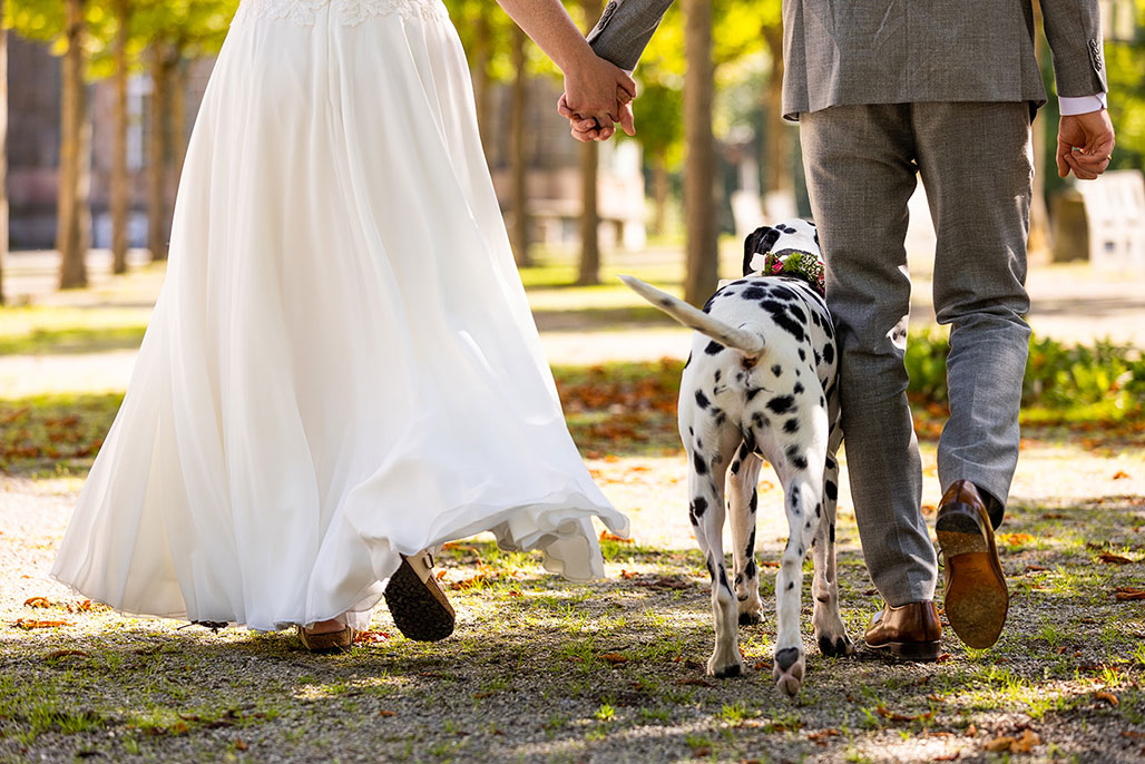 Hochzeitsfotos von Maren und Lucas